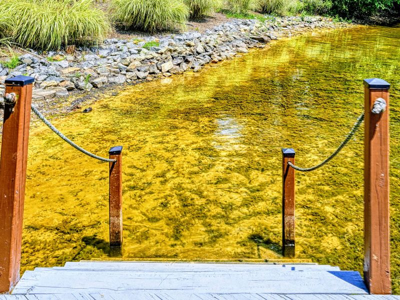 Clear Cove Water - Shallow, clear water at the shoreline makes for easy wading and swimming right off the yard.