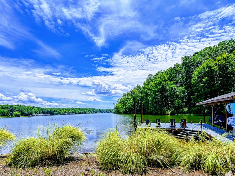 Cove and Shoreline - Tall grasses and open water frame the edge of your quiet, no-wake cove.