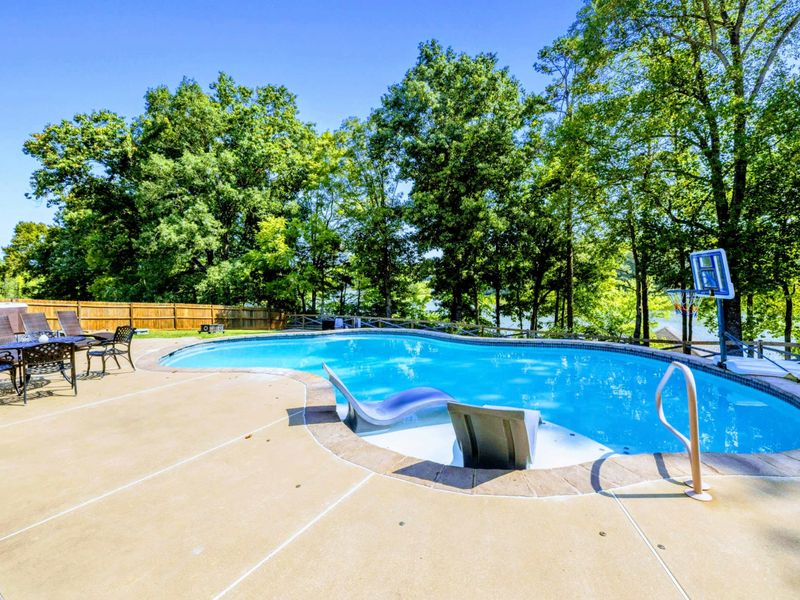 Pool - Mature trees shade one side of the pool, with loungers positioned for a mix of sun and shade.