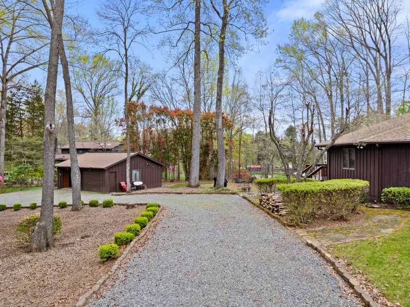 A quaint brown house nestled among tall trees with a gravel path leading to a cozy, nature-filled yard