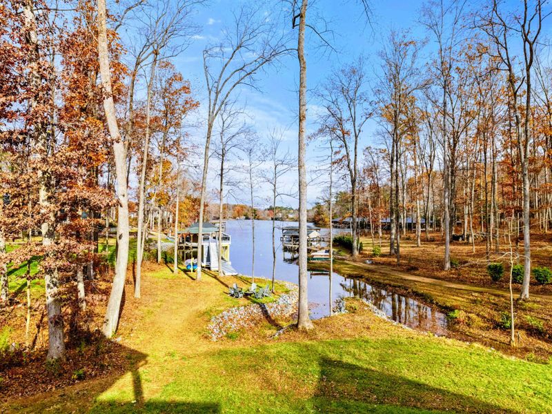 Peaceful lakeside backyard with lush greenery, tall trees, and direct water access surrounded by nature.