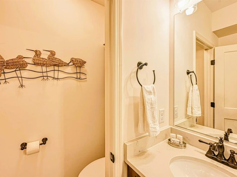 Jack & Jill Bath - The shared bath that makes the lower level work for a multi-family weekend.