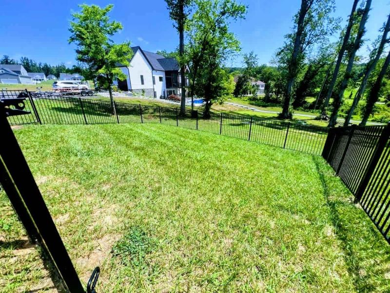 Fenced Backyard - A safe stretch of grass for the dogs, lake views for the rest of the family.