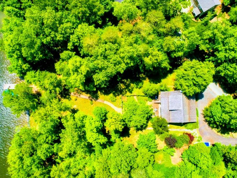 Nestled in the heart of nature, this hidden gem offers privacy and tranquility, perfect for a serene getaway.