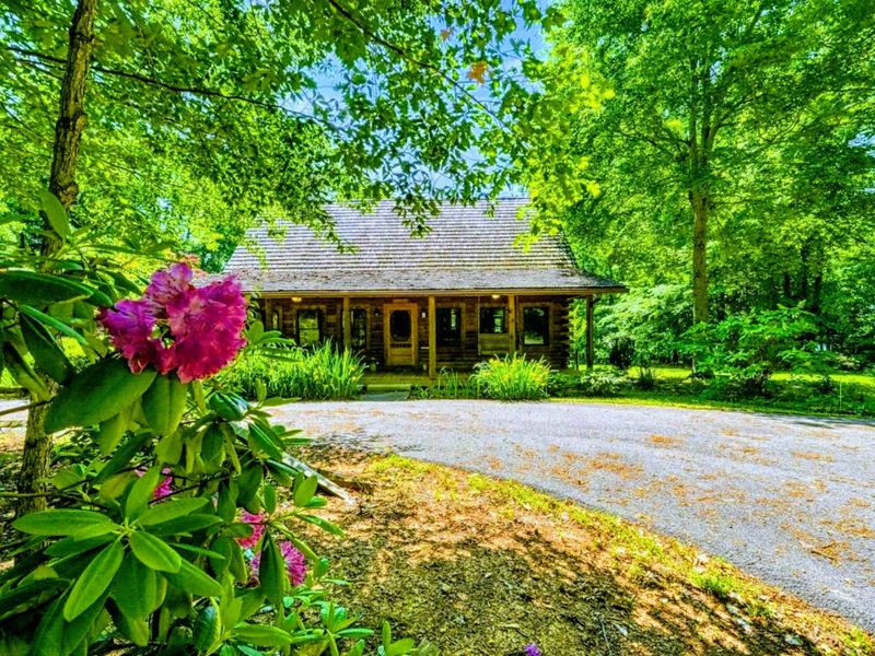 Surrounded by lush greenery and blooming flowers, this lakeside cabin is a peaceful retreat waiting for you to unwind and recharge.