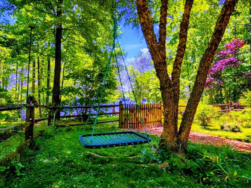 Relax and unwind on the swing surrounded by vibrant greenery, creating the perfect serene escape just steps from the lake.