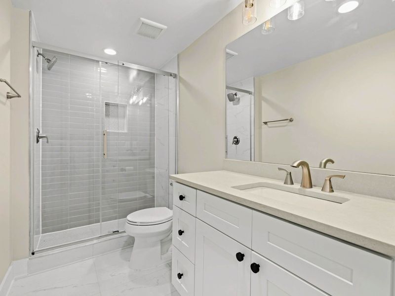 Extra Full Bathroom on Lower Level: Features a sleek walk-in shower with a glass door, modern tilework, and a built-in niche. The spacious vanity with brushed gold fixtures provides both style and function.