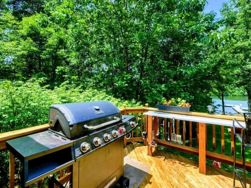 Grill Master's Retreat – Enjoy grilling in the great outdoors with this fully equipped BBQ station, set against the backdrop of Lake Anna and surrounded by verdant forest. Perfect for outdoor chefs and gatherings.