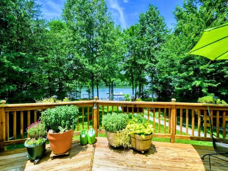 Garden Deck by the Lake – Surrounded by vibrant planters and a lush backdrop, this deck offers a picturesque spot to enjoy the tranquil views of Lake Anna under the shade of a bright umbrella. Ideal for relaxation and nature enjoyment.