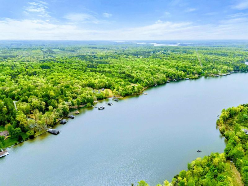 Aerial - Lake Anna's waterway stretches into the distance beneath a lush green canopy of hardwoods.