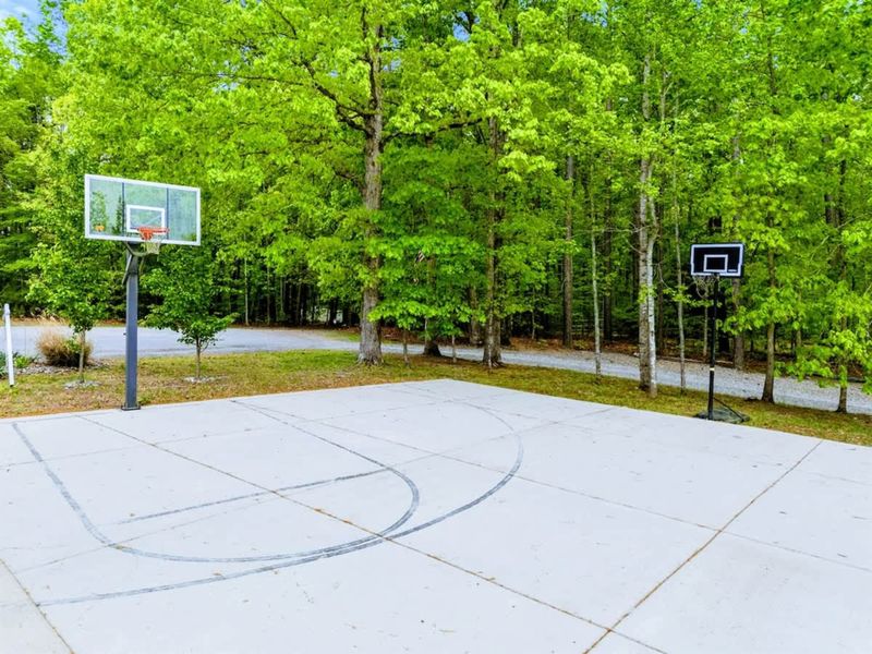 Play Among the Pines – Friendly competition meets forest calm on this hidden court.
