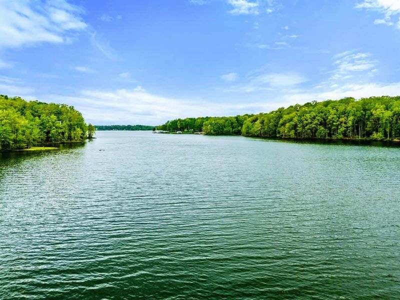 Lake View - Panoramic view from the water looking down a serene Lake Anna cove lined with lush green trees.