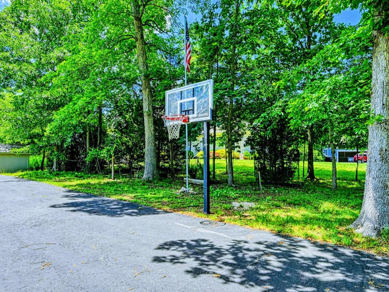 Basketball Court - Full-size hoop on the paved driveway with an American flag among the tall trees.