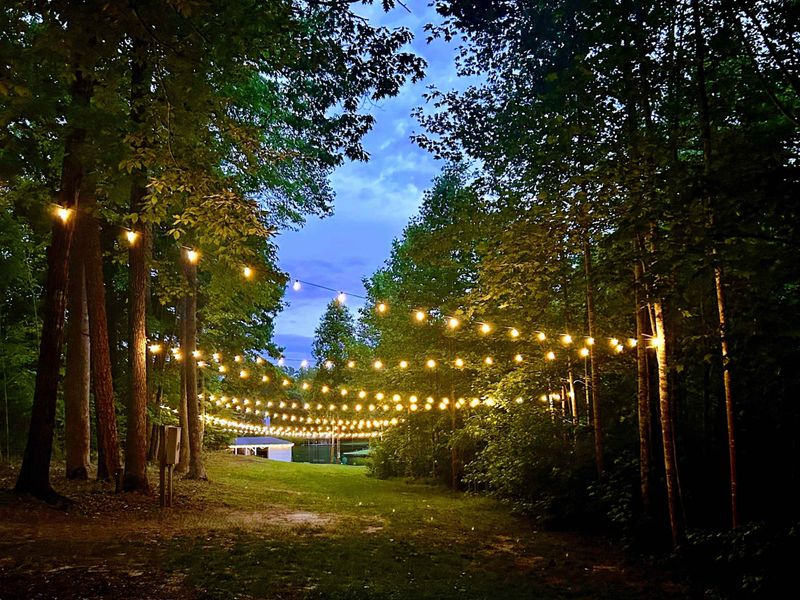Evening Magic Under the Pines – As the day winds down, this softly lit path keeps the glow going a little longer.