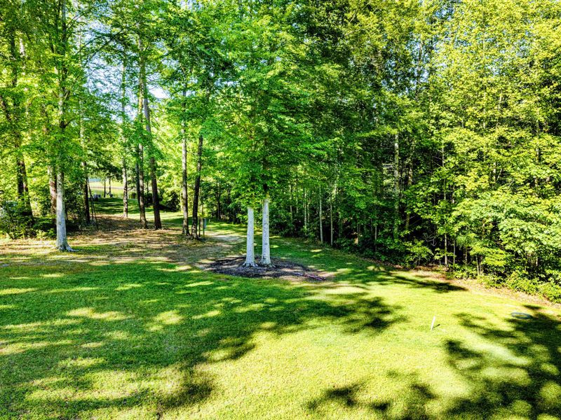 Nature’s Backdrop – This lush, private view from the deck brings quiet mornings and shaded afternoons into perfect focus.