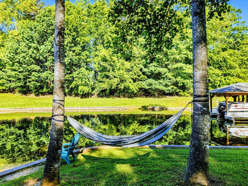 A Quiet Moment, Perfectly Framed – Tucked between trees with a view of the water, this hammock is your personal reset button.