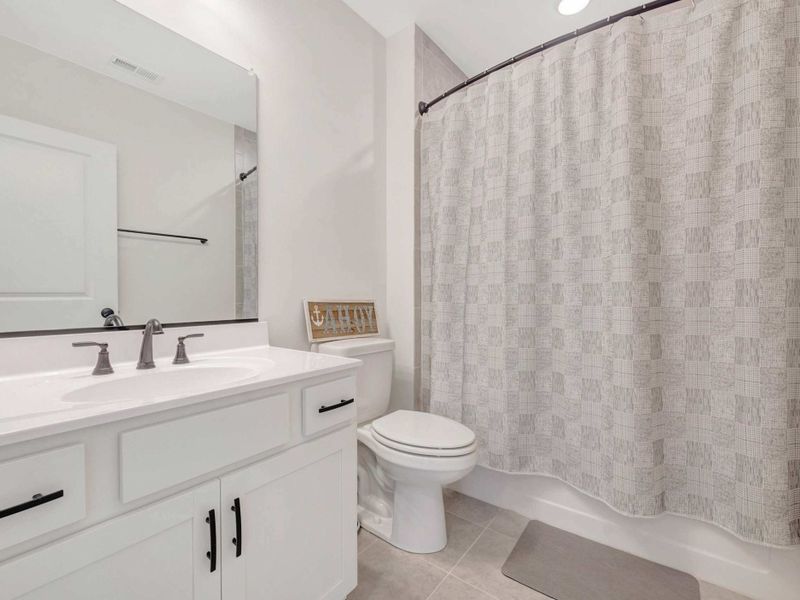 Lower Level Bathroom