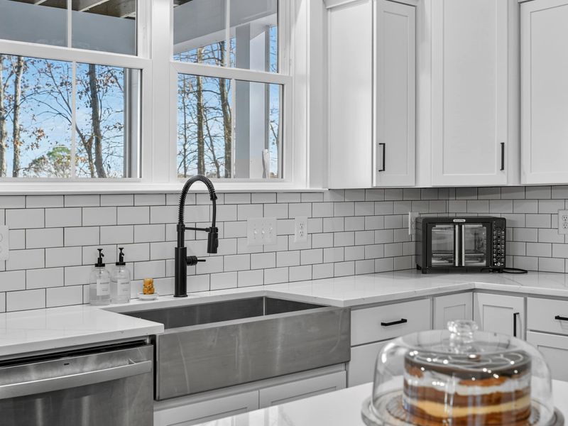 Sink Detail - The farmhouse sink with a professional-style faucet, dishwasher, and a toaster oven on the counter.