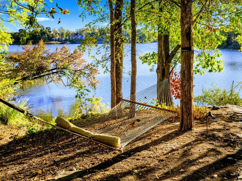 Waterfront - Hammock strung between lakeside trees offers the ultimate relaxation spot with water views.