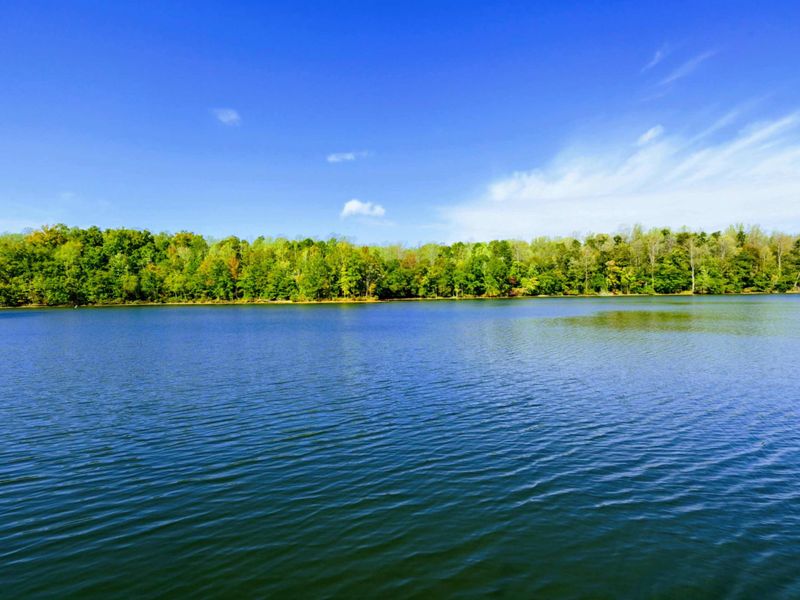 Lake Views - Breathtaking panoramic view of Lake Anna's pristine blue waters from the dock.