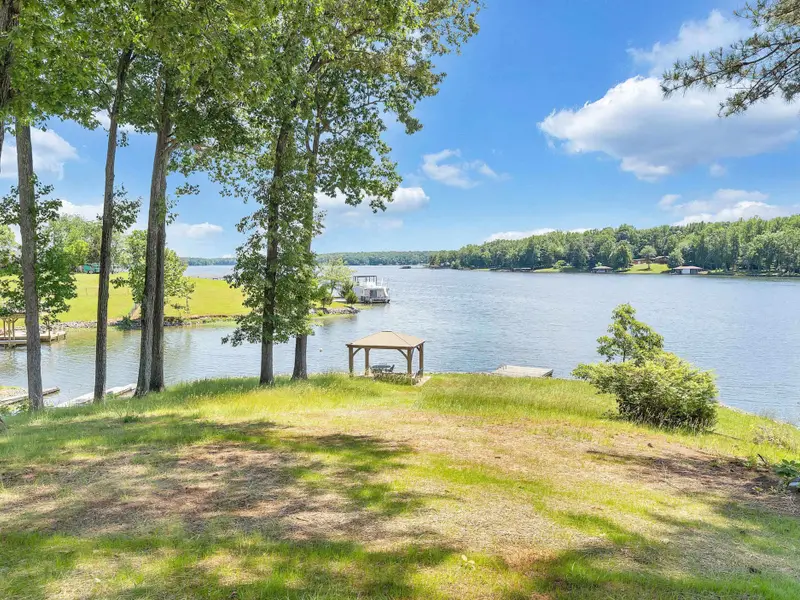 View of Backyard