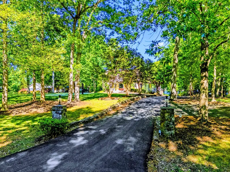 Approach - Tree-lined drive leading to the property, a quiet welcome on arrival.