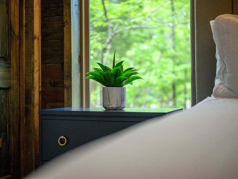 Nature framed right from your bedside