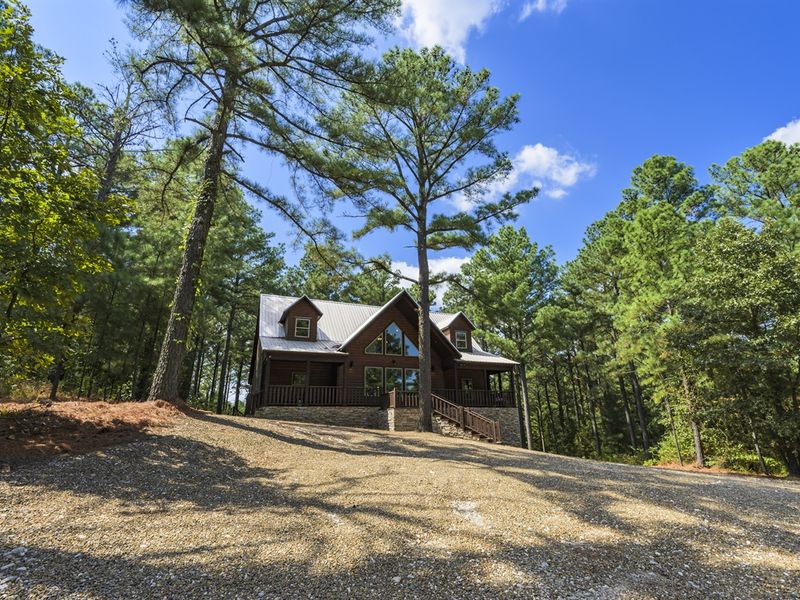 Cozy cabin surrounded by tall pine trees in a serene forest setting, showcasing a modern