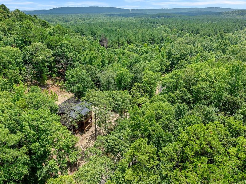Unplug from the hustle and bustle of everyday life and recharge at this picturesque cabin in the heart of the forest. Let the tranquility of the trees wash over you like a soothing balm.