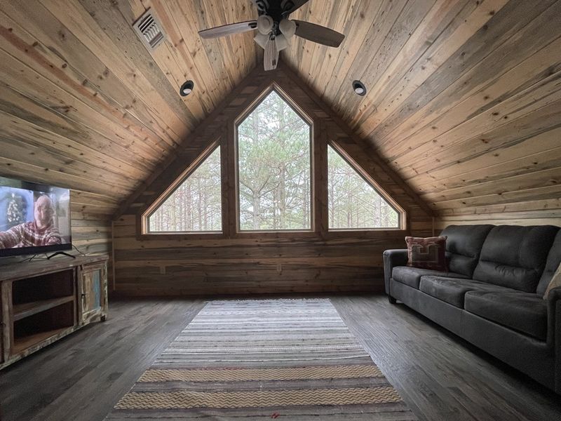 Upstairs movie room with sleeper sofa (separated w barn doors)
