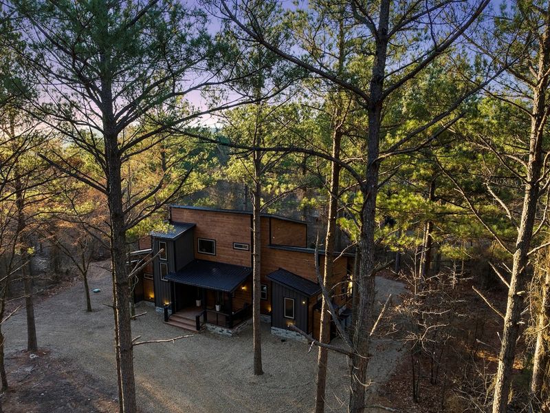 Modern cabin retreat tucked among towering pines for ultimate privacy and tranquility.