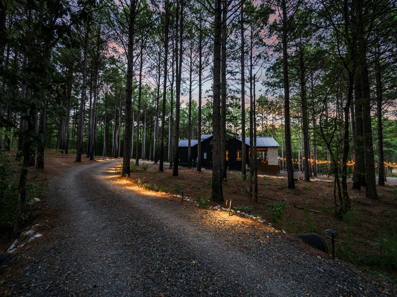 Gravel drive winding through a tranquil pine forest leading to a modern lodge, illuminated
