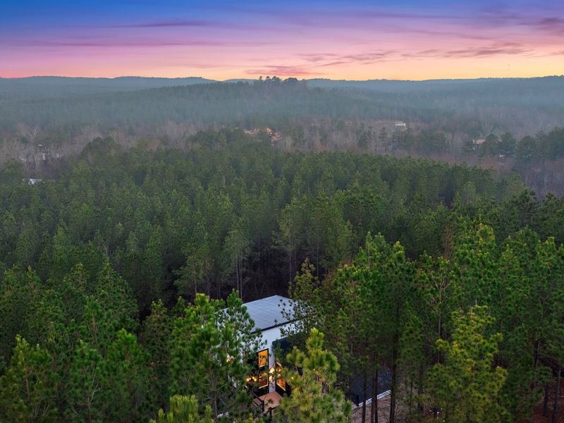 A modern cabin tucked into the treetops with sweeping forest views at sunset.
