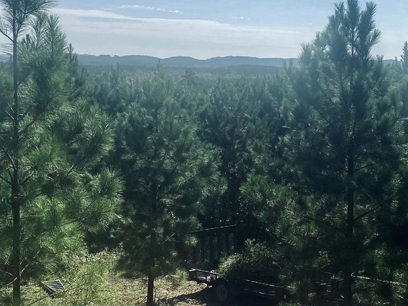Mountain Views from the back deck!