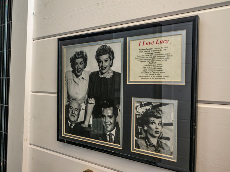 Who doesn't love Lucy?