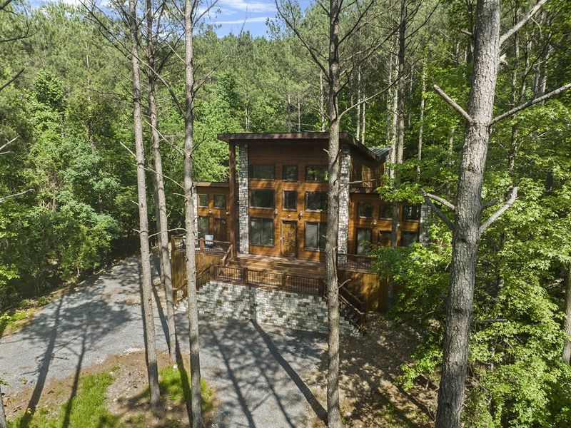 "Our sustainable cabin sanctuary—a graceful dance of innovation and raw natural beauty."