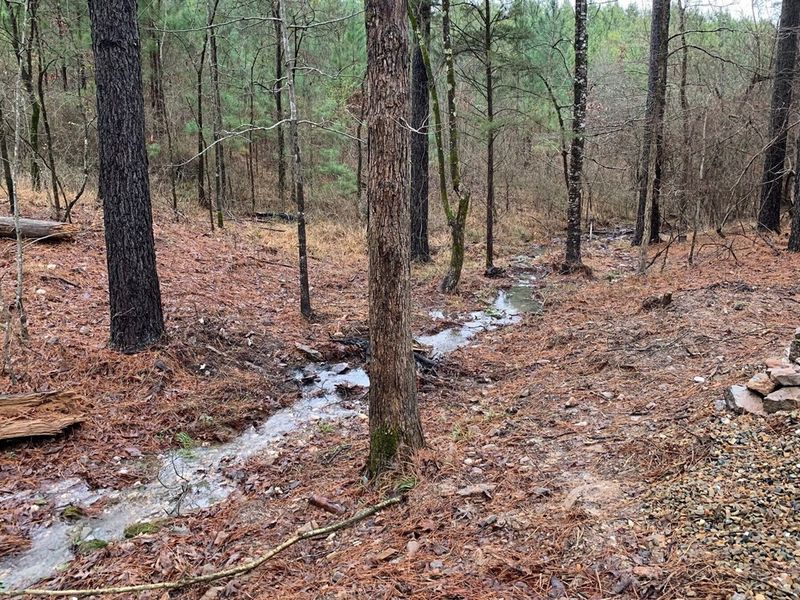 Seasonal creek
