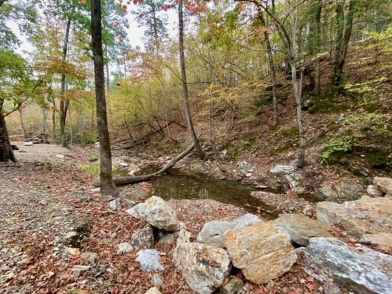 The peaceful sounds of the trickling creek are so soothing.