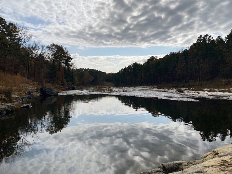 This photo was taken on a hike on Friends Trail!