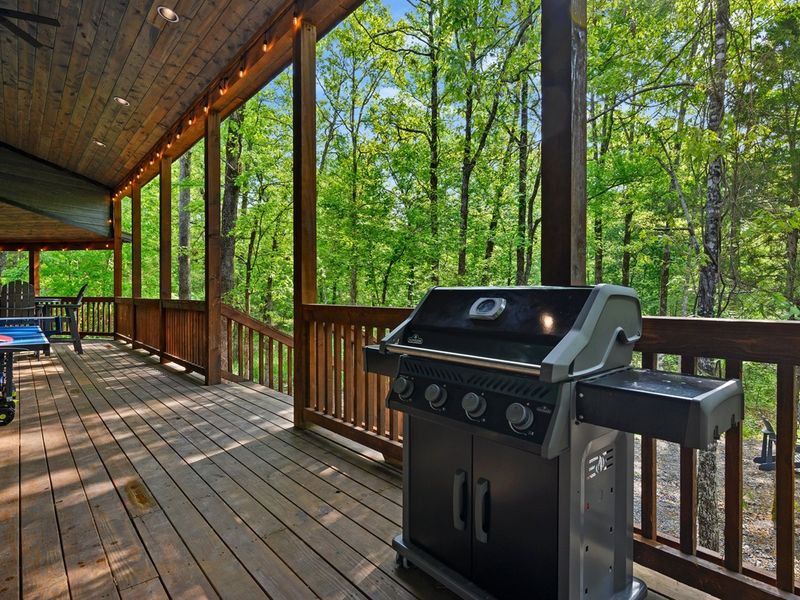 Savor the Outdoors: Grill a special meal surrounded by the forest
