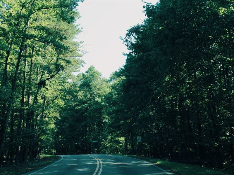 Road to paradise headed to Hochatown/Broken Bow!