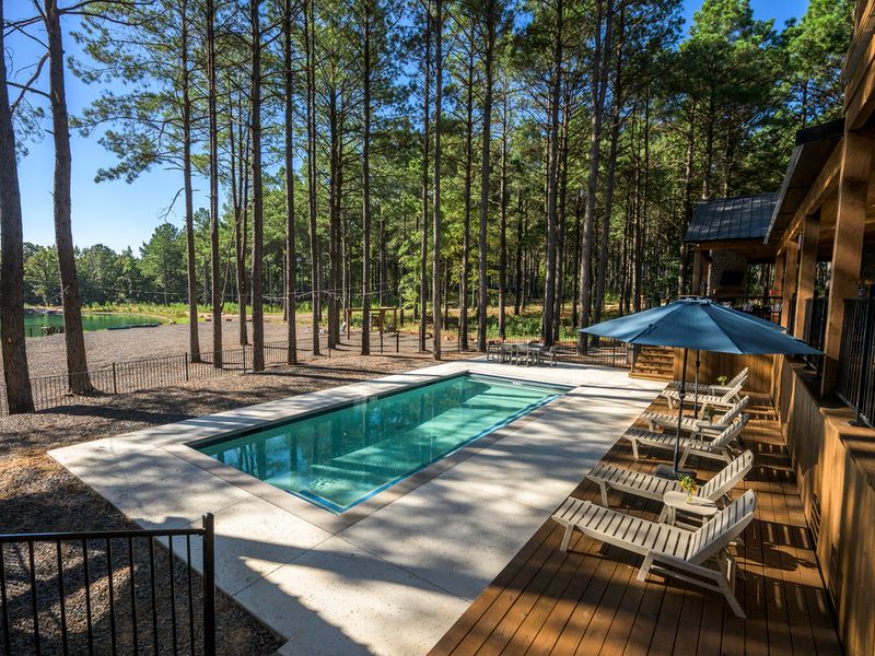A serene view of a private pool surrounded by tall pine trees, featuring lounge chairs