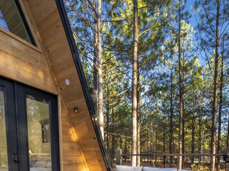 "Morning light dances on wooden floors through large windows, a harmony of nature and architecture."
