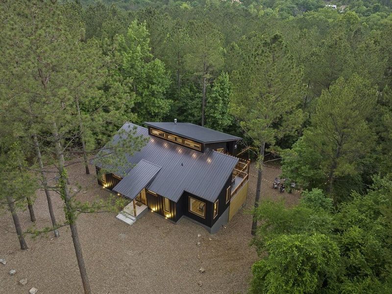 Panoramic treetop views