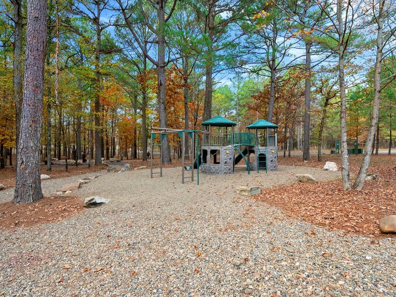 A forest playground made for adventure — let the kids explore, climb, and play under the tall pines. Located by the clubhouse