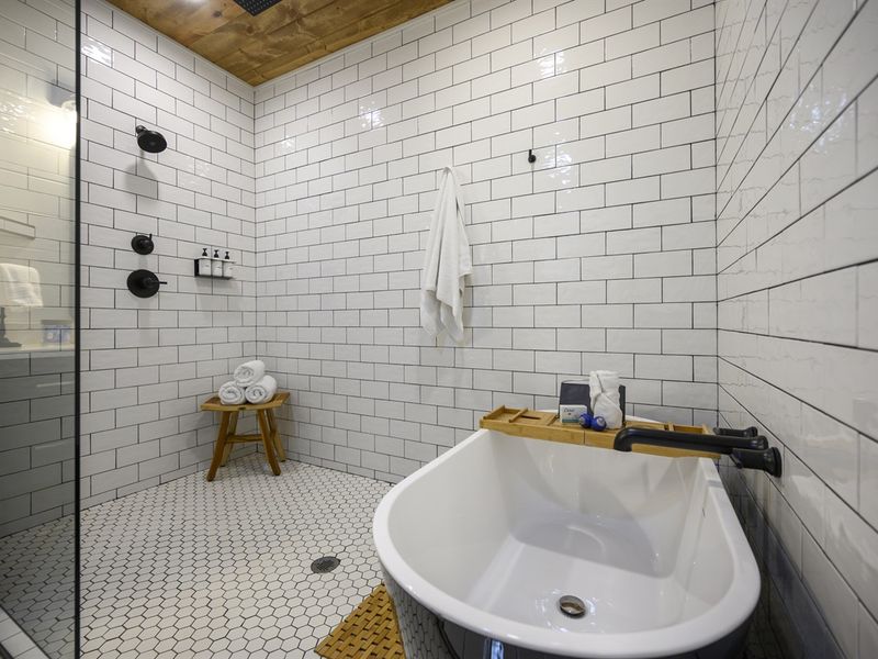 Specious walk-in shower