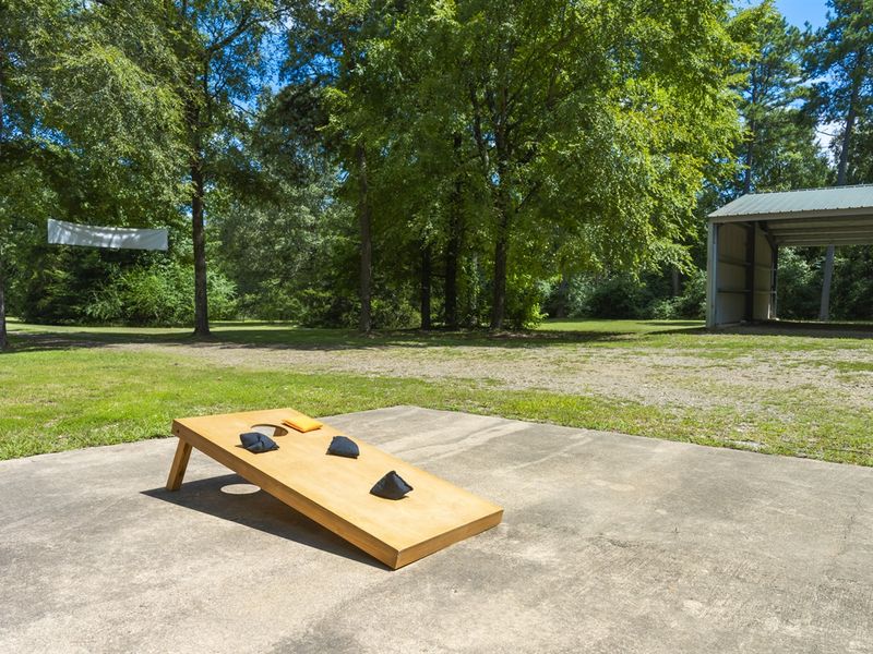 Outdoor cornhole game setup featuring a wooden board and black bags surrounded by lush green