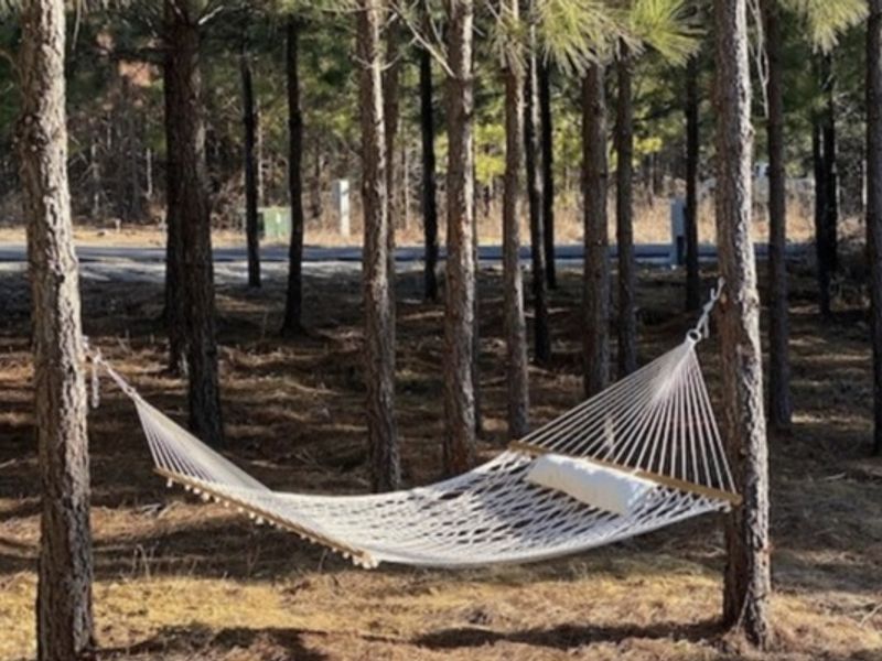 "Swing and sway in our hammock, the perfect spot for a leisurely afternoon nap."