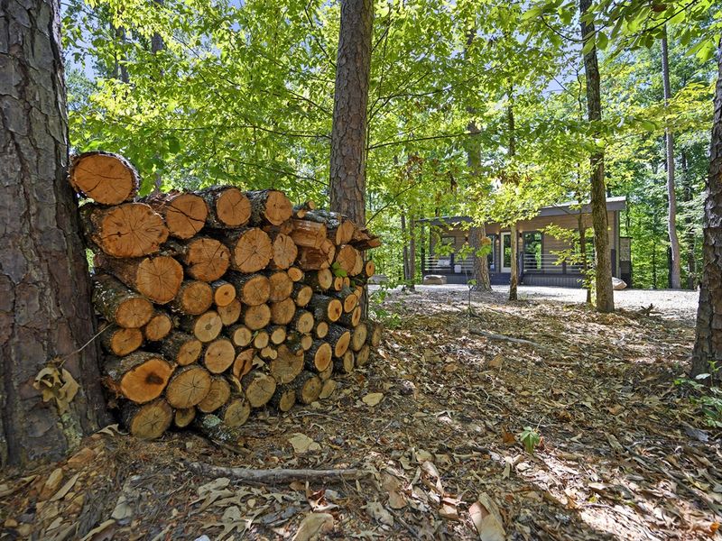 The "Wood" for you to use.