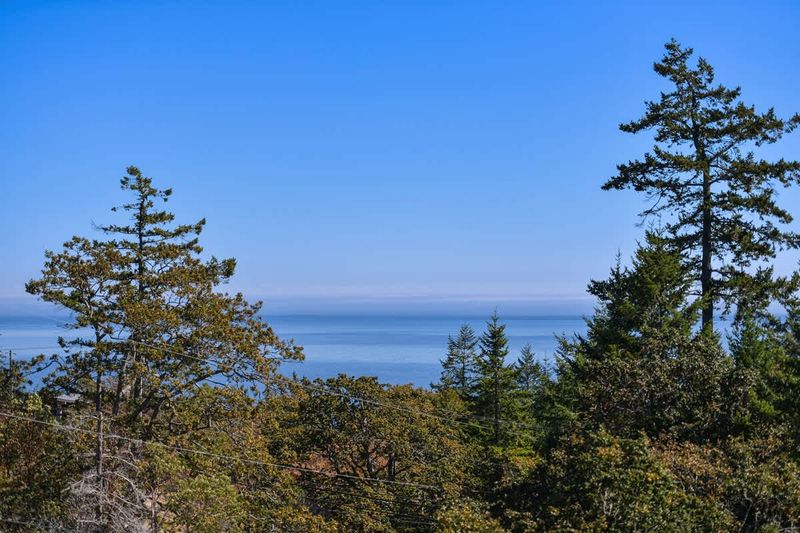 Juan de Fuca Strait and Olympic Mountains.